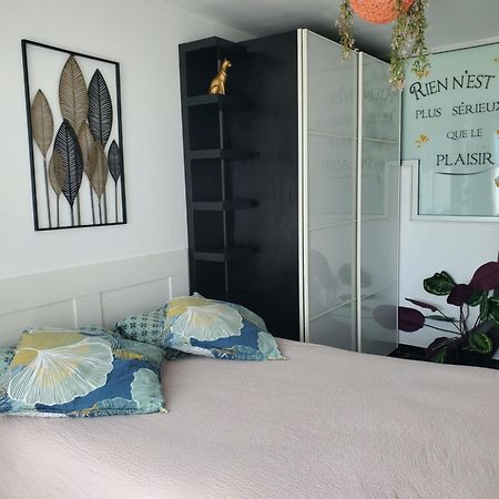 Appartement Cosy Entierement Equipe Toulouse Exteriör bild