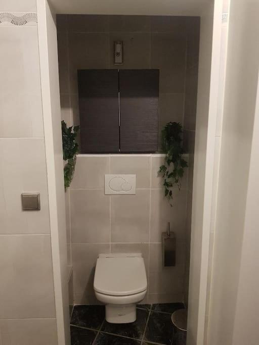 Appartement Cosy Entierement Equipe Toulouse Exteriör bild